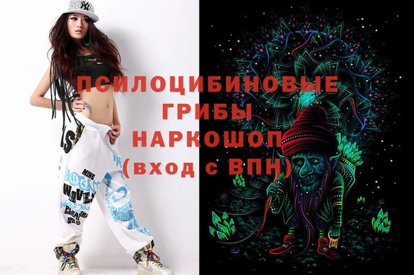 прущие грибы Балахна