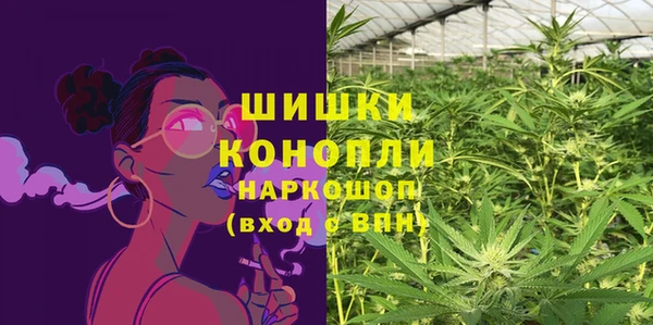 ешки Арсеньев