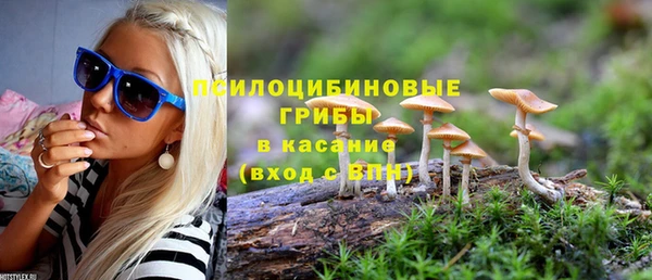 прущие крисы Армянск
