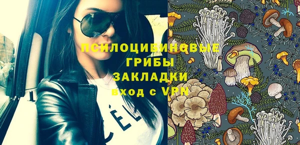 ешки Арсеньев