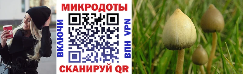 omg сайт  Собинка  Псилоцибиновые грибы Magic Shrooms 